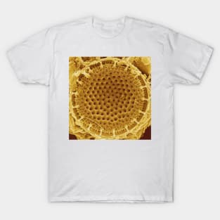 Diatom - Thalassiosira (external, gold) T-Shirt